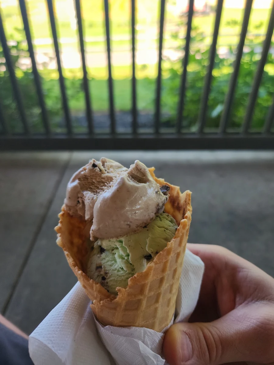 Gelato