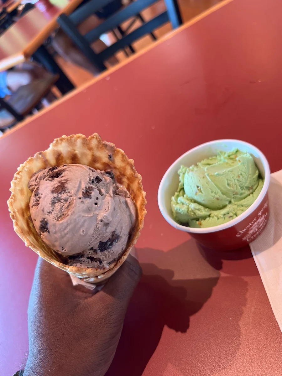 Molls Mint Chocolate Chip