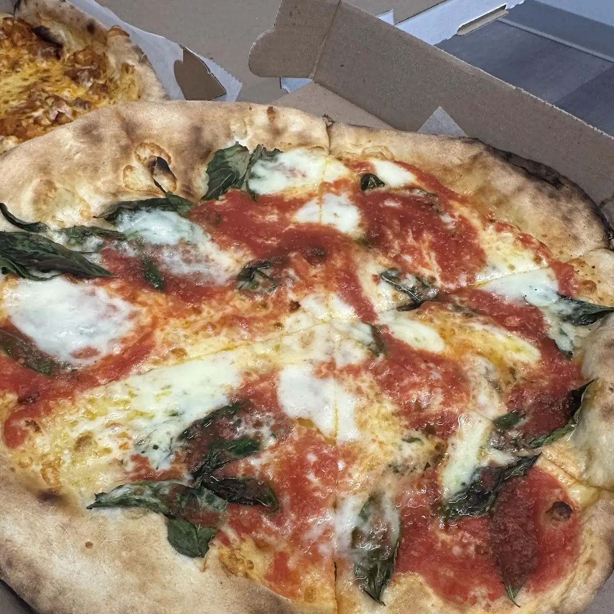 Regular Margarita Pizza