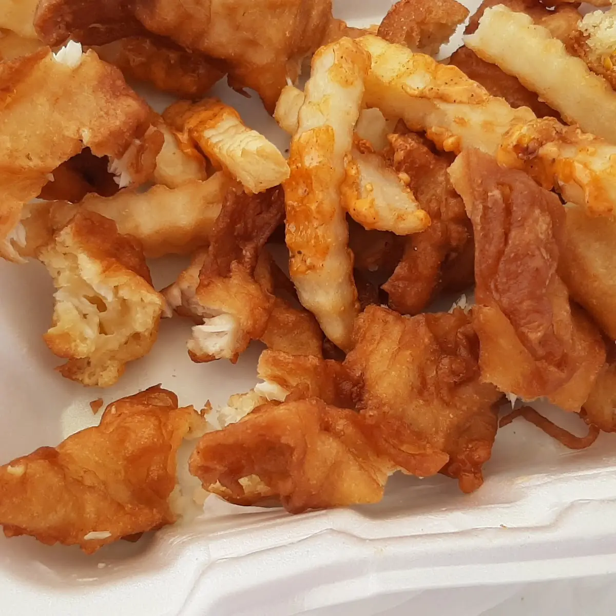 Over Cooked Dried Up Fish