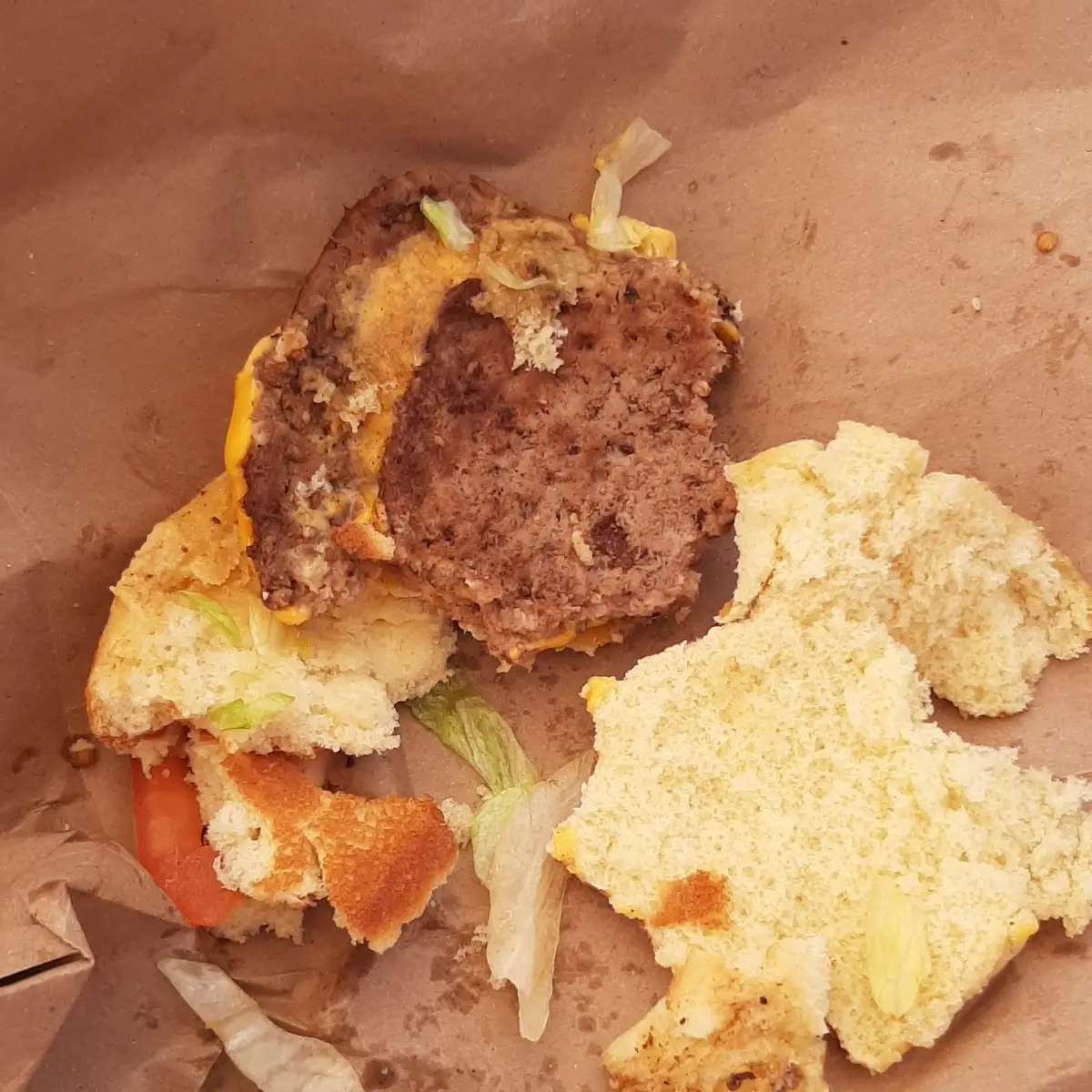 Supposed to Be a Double Cheeseburger