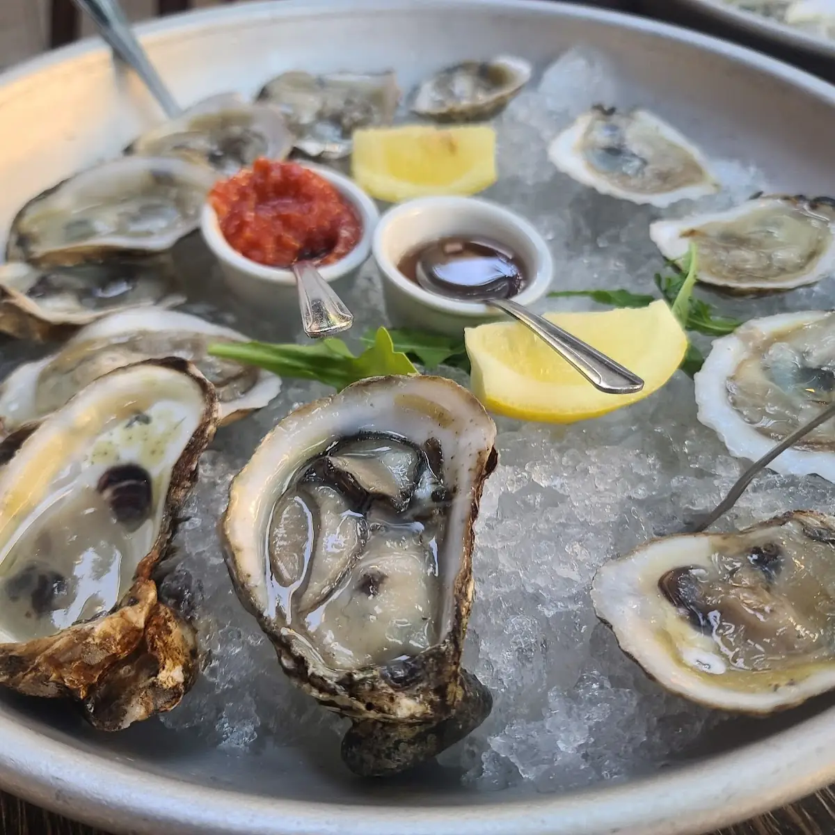 Fresh Oysters on Ice with Lemon