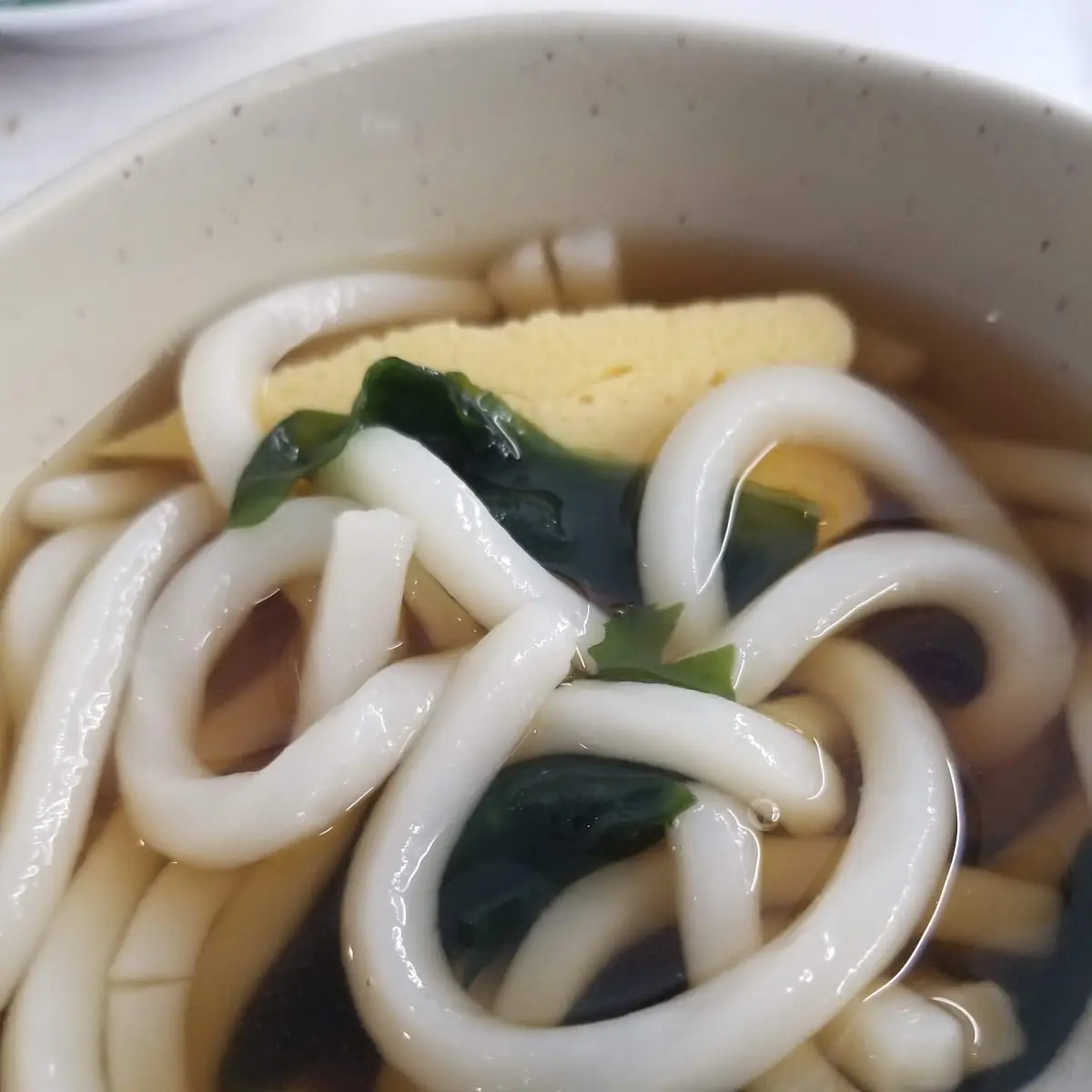 Udon Noodles Soup