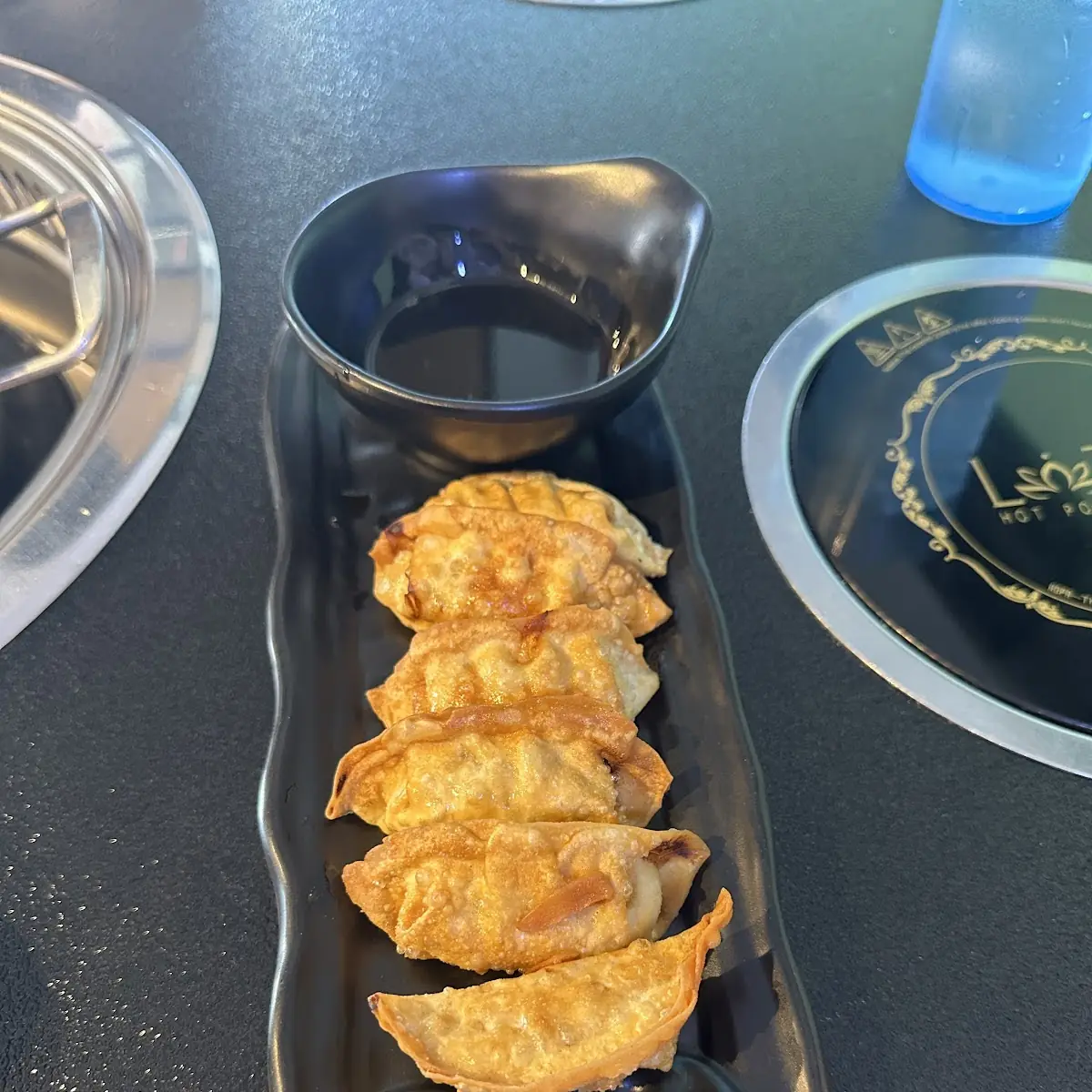 Fried Dumplings