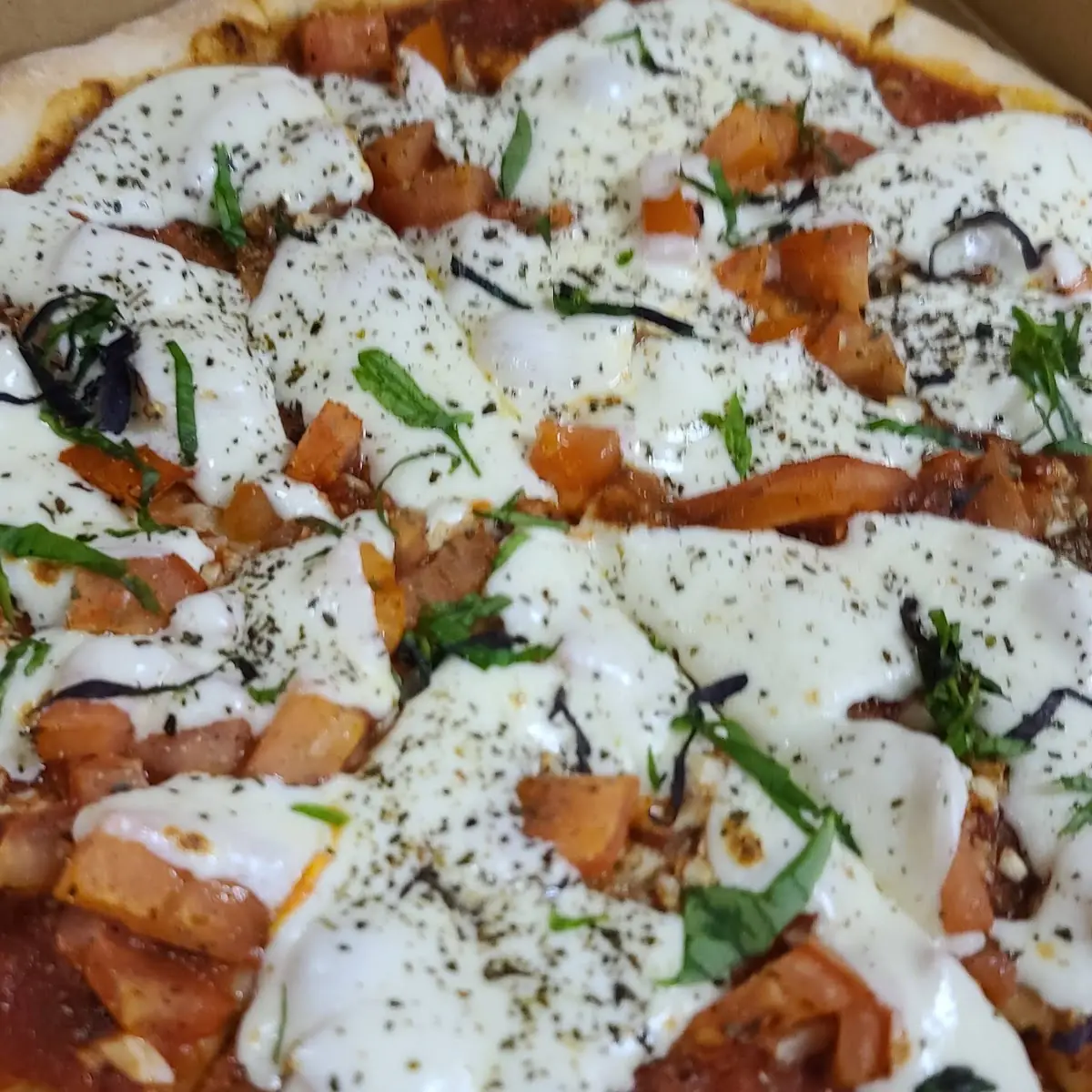 Margherita Pizza