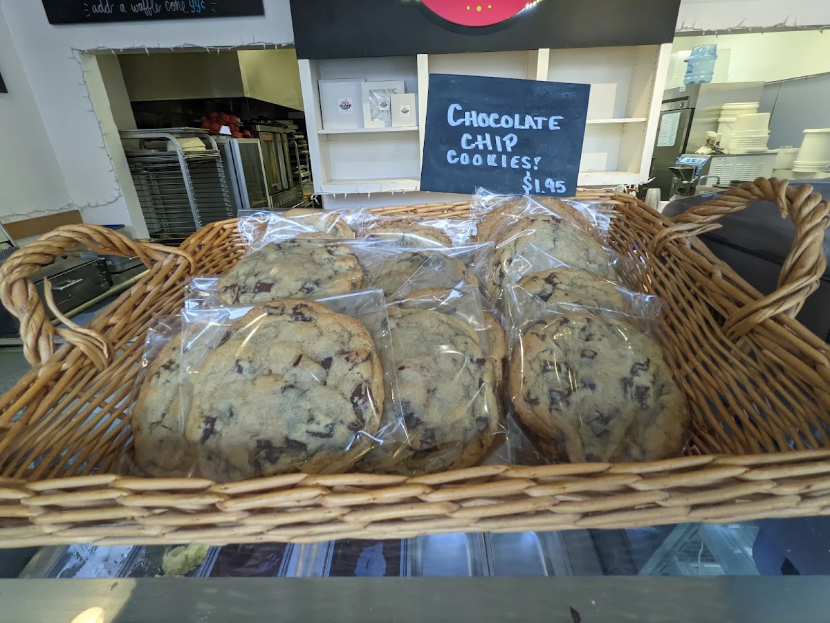 Chocolate Chip Cookie