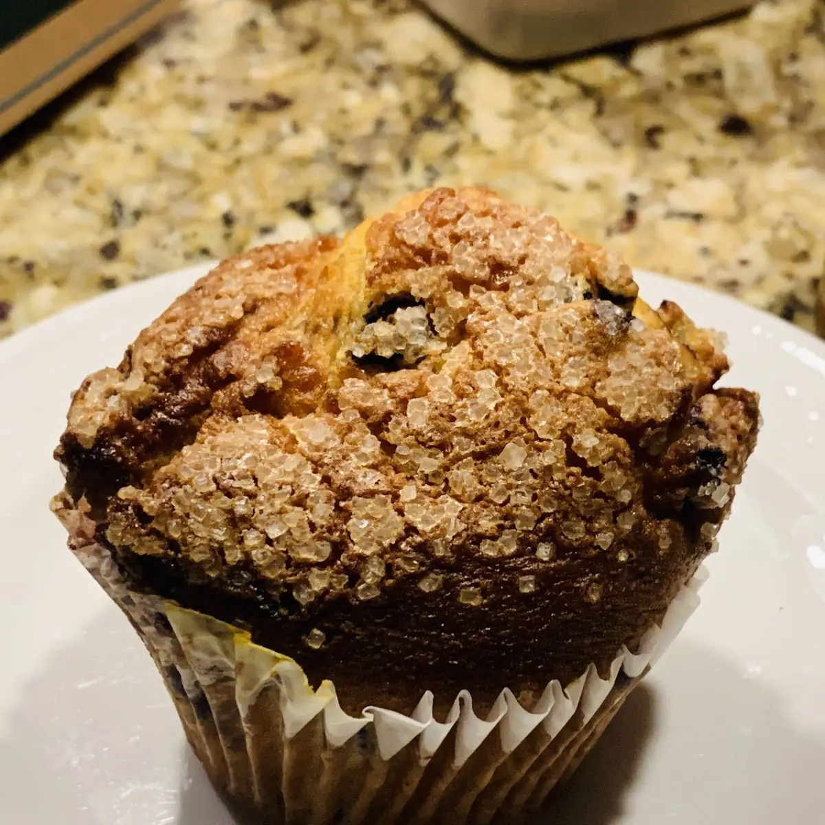 Blueberry Muffin