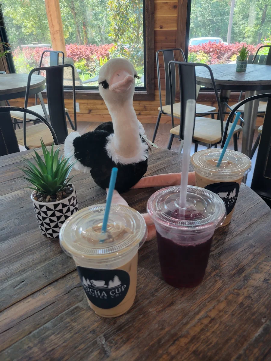 Wild BERR Hibiscus Tea
