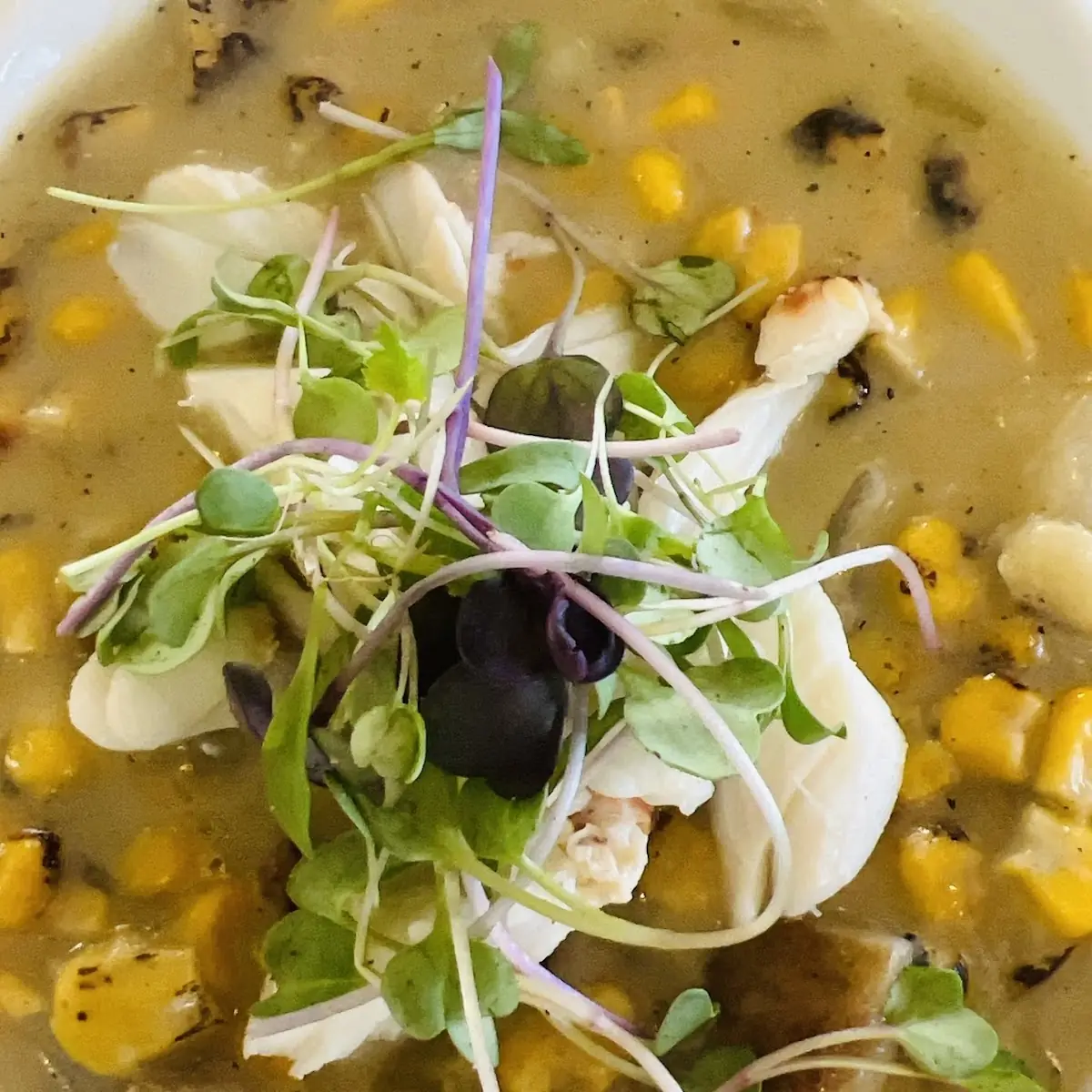 Corn Chowder