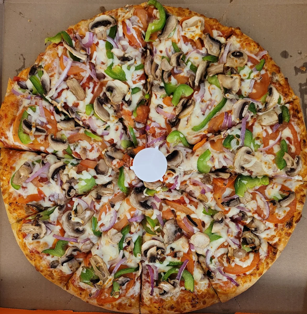 Veggie Lover's Pizza