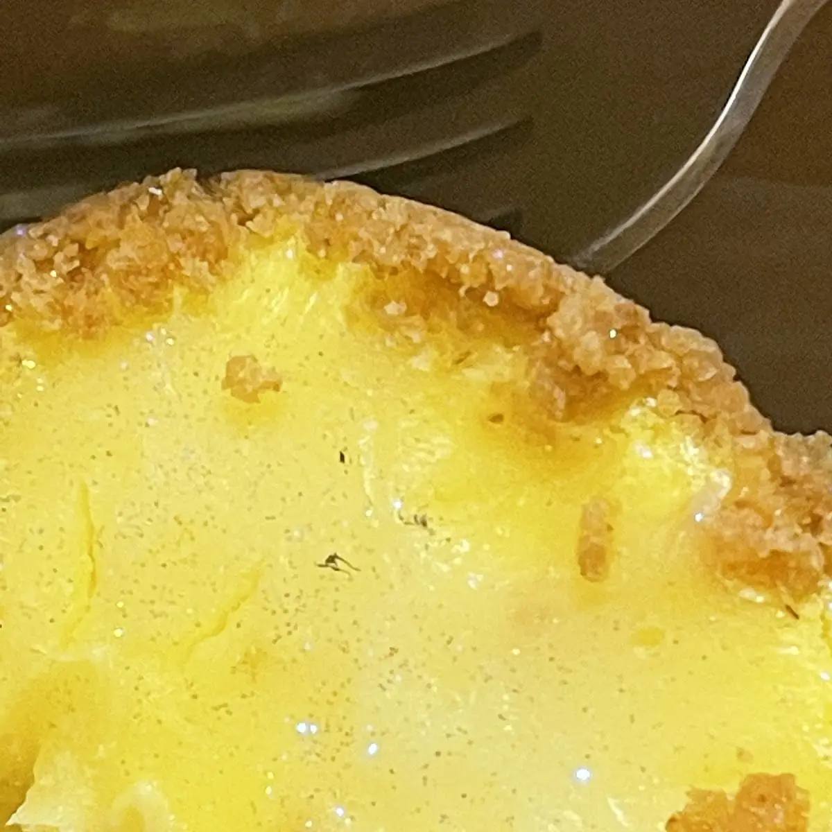 Lemon Cheesecake