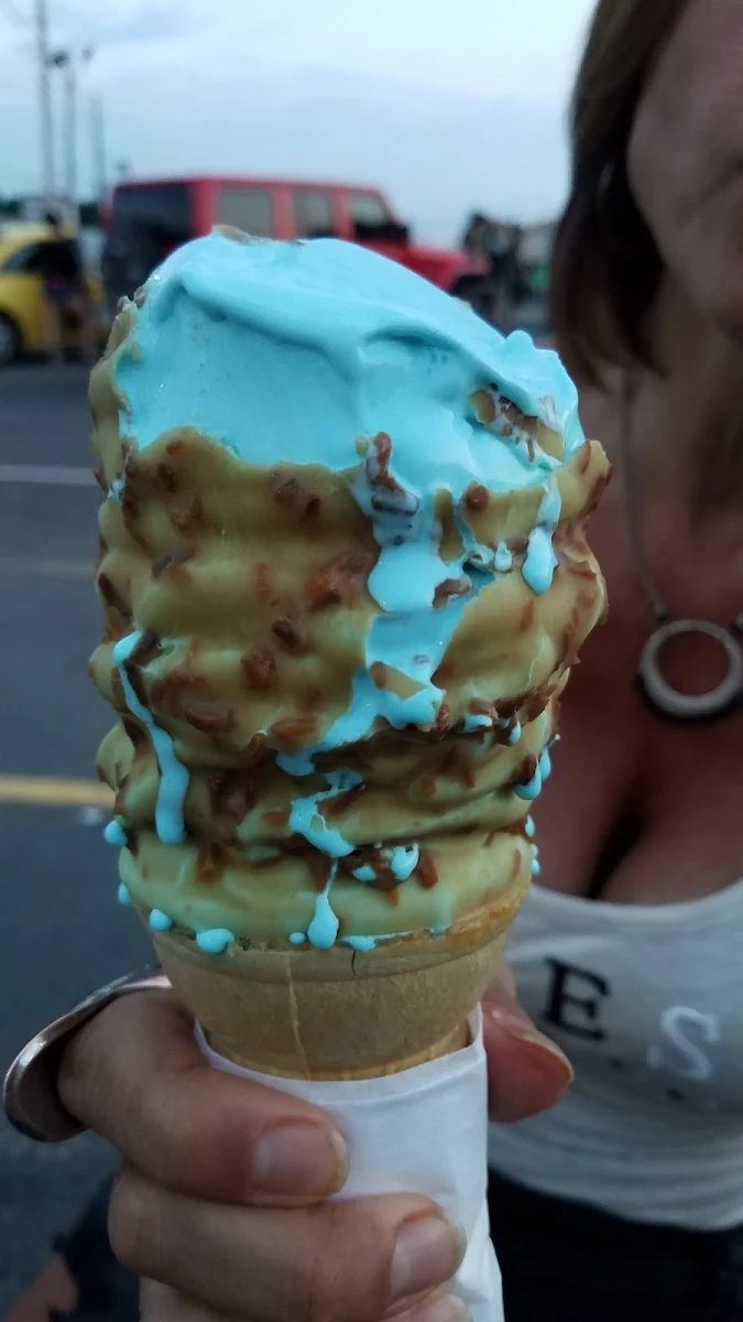 Medium Blueberry Dipped in Toasted Coconut