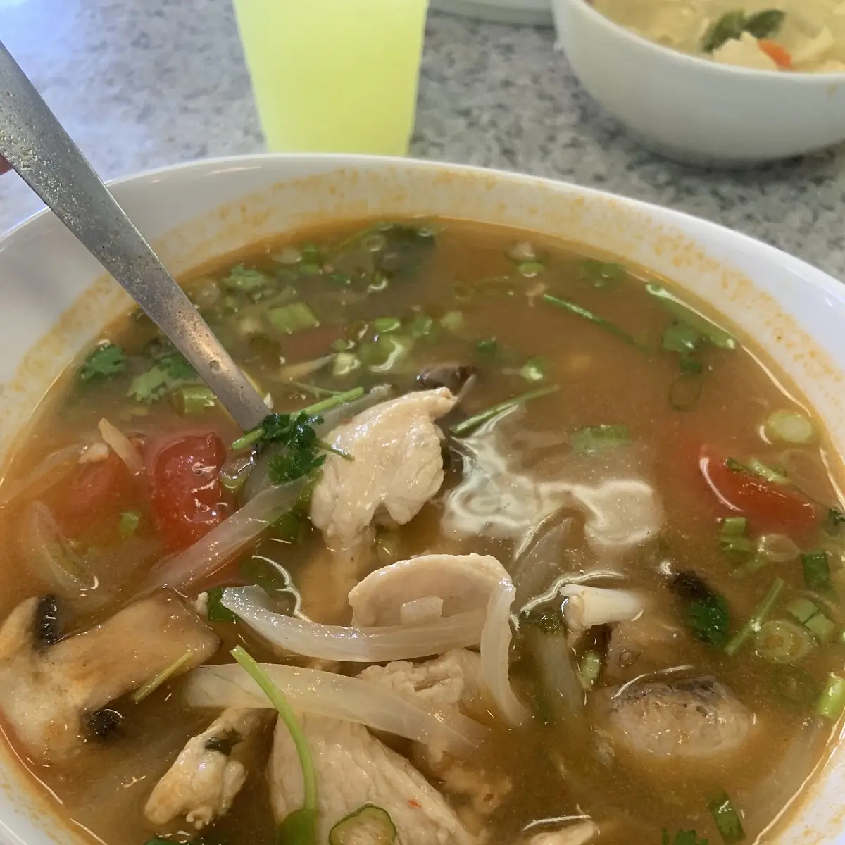 Tom Yum Chicken Beef or Pork