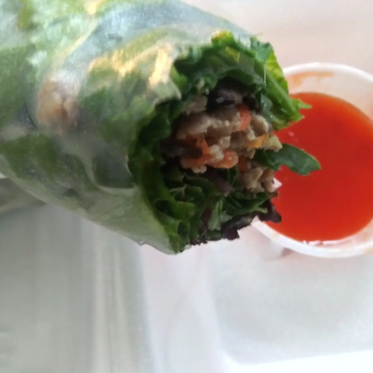 Deluxe Fresh Spring Rolls 2