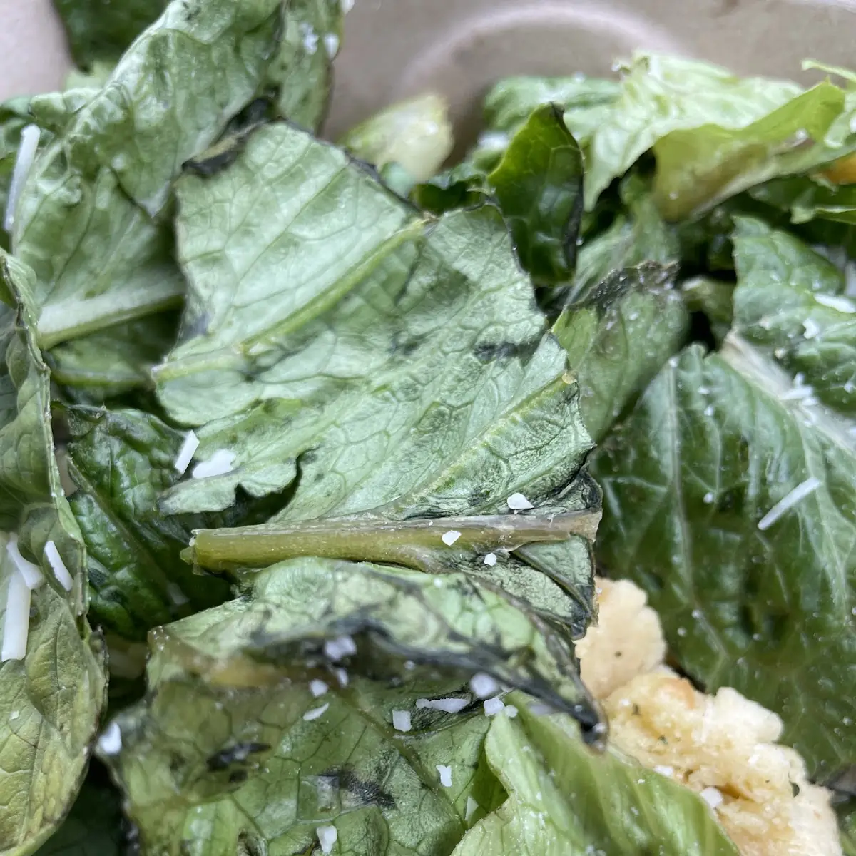 Chicken Caesar Salad