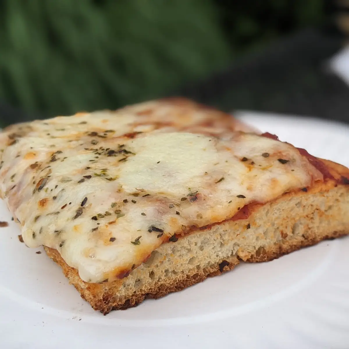 Sicilian Cheese Pizza