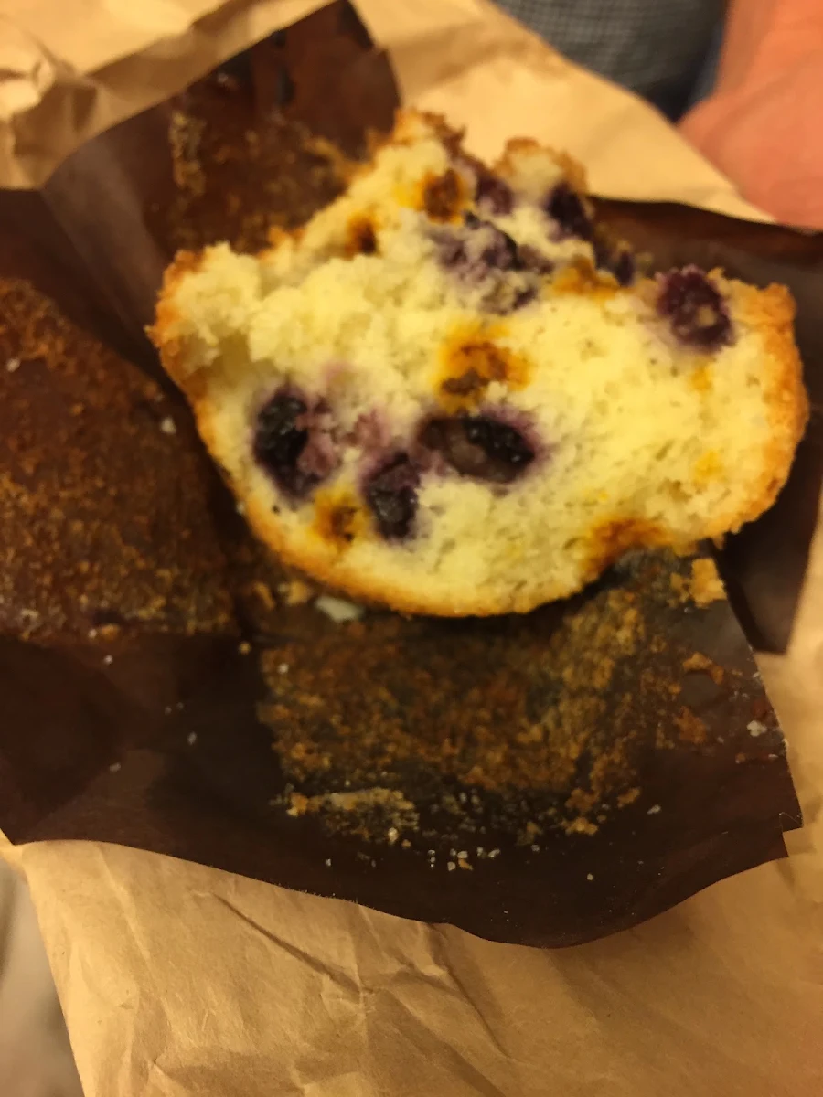 Blueberry Muffin