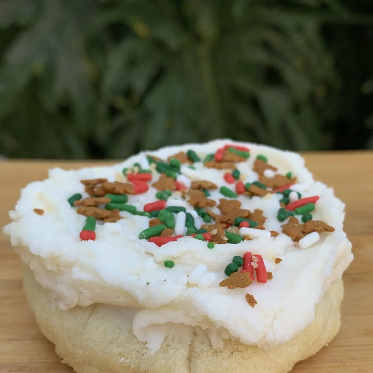 The Sugar Cookie