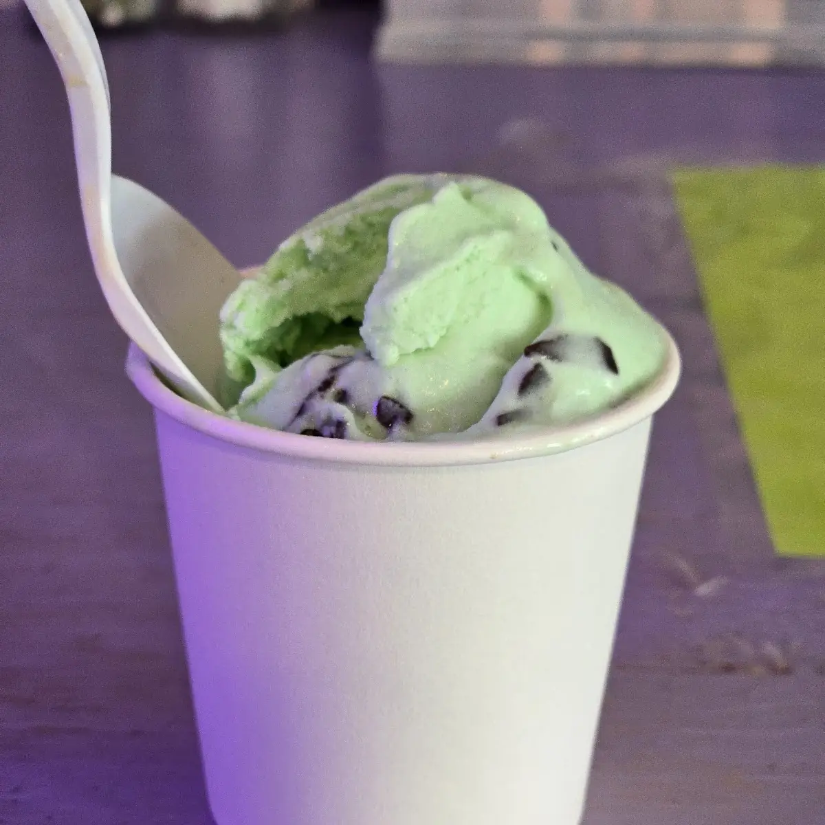 Small Scoop Mint Chocolate Chip