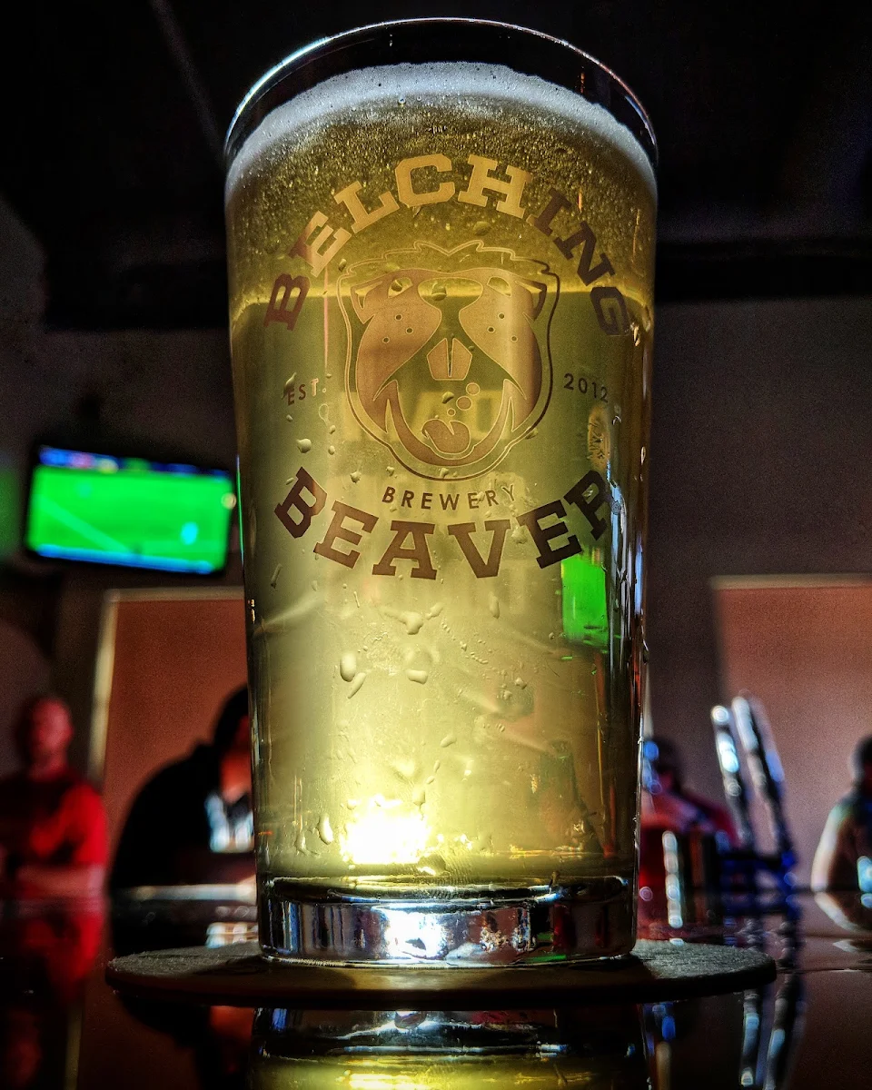 Mason Pizza Port Nacho Gose
