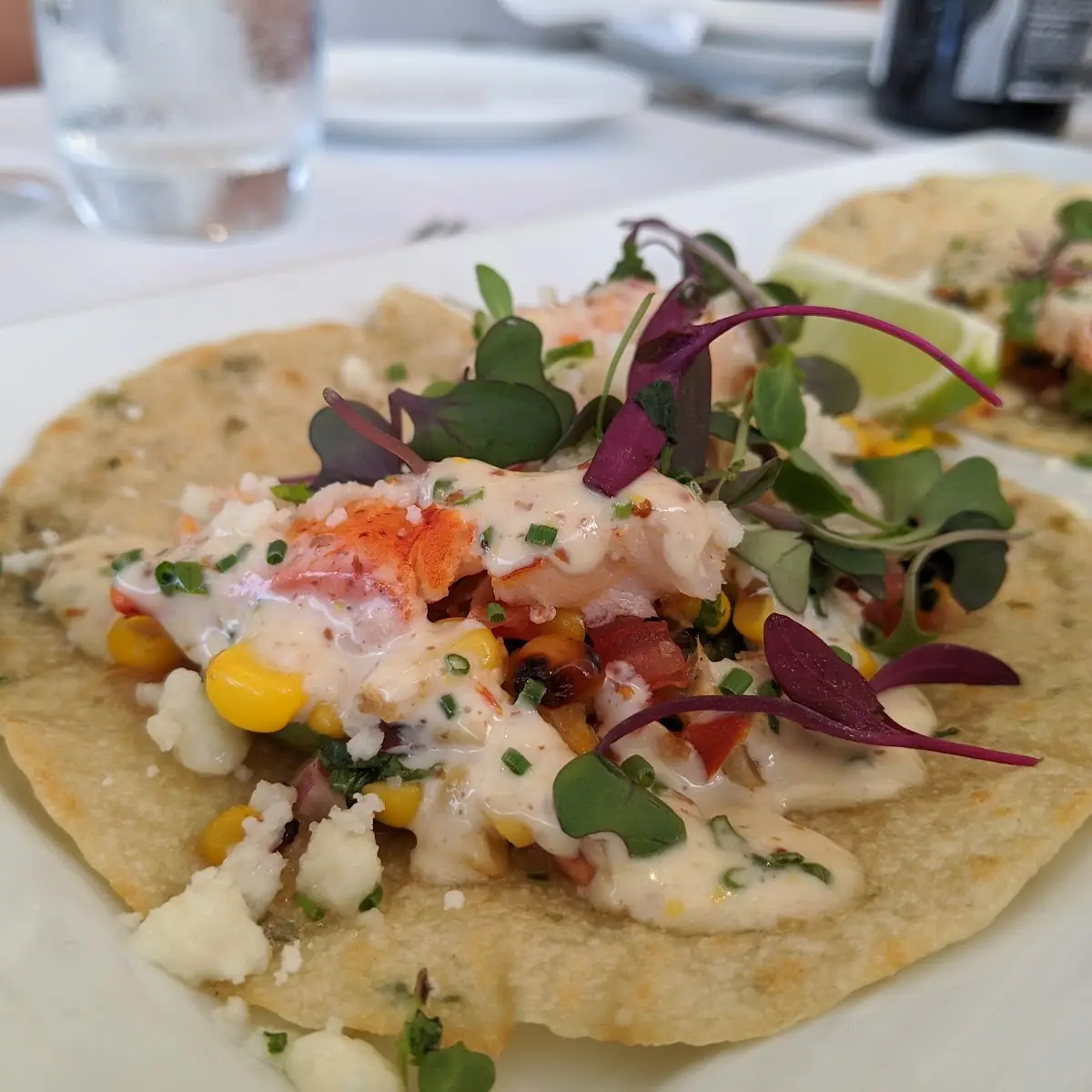 Maine Lobster Tacos