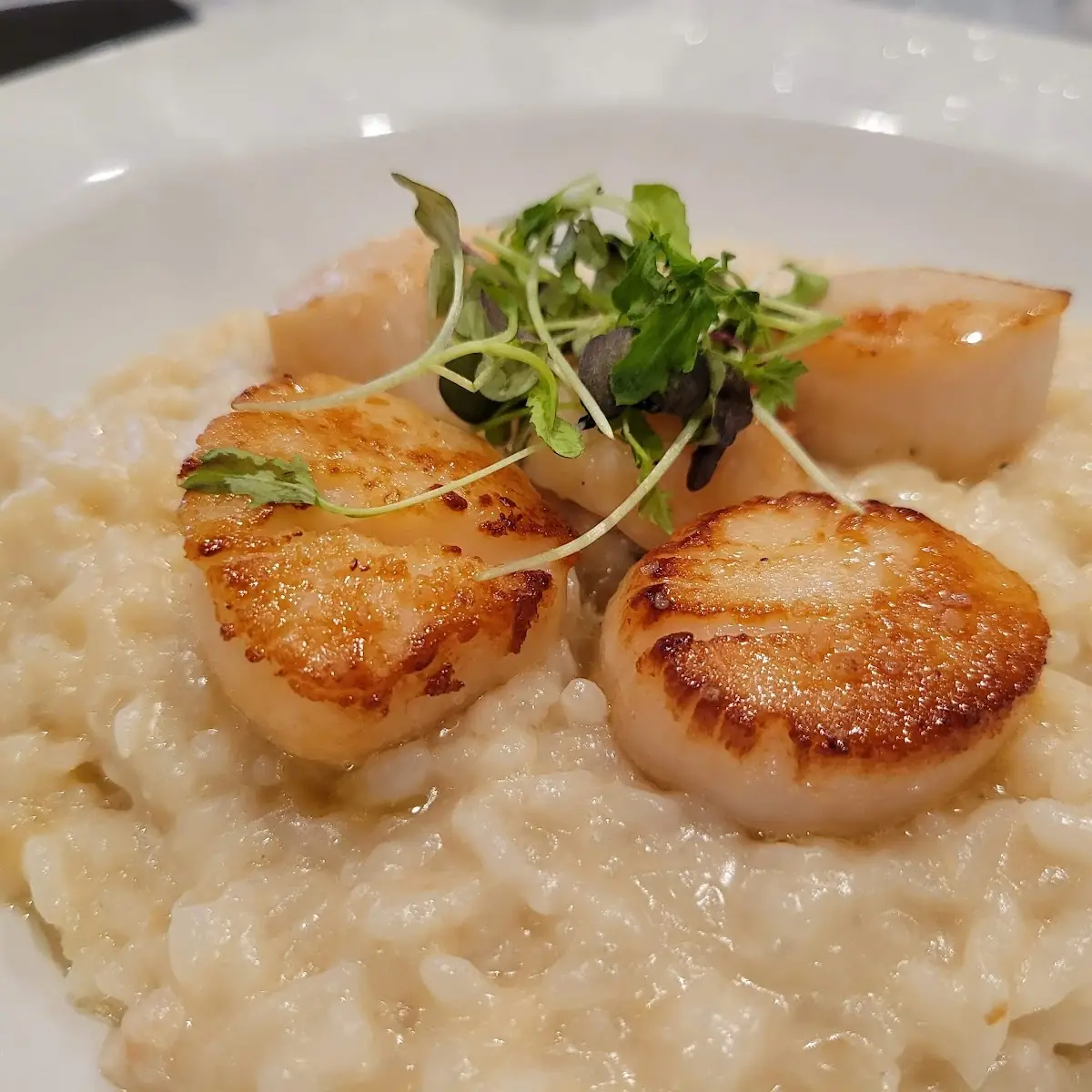 Seared Scallops
