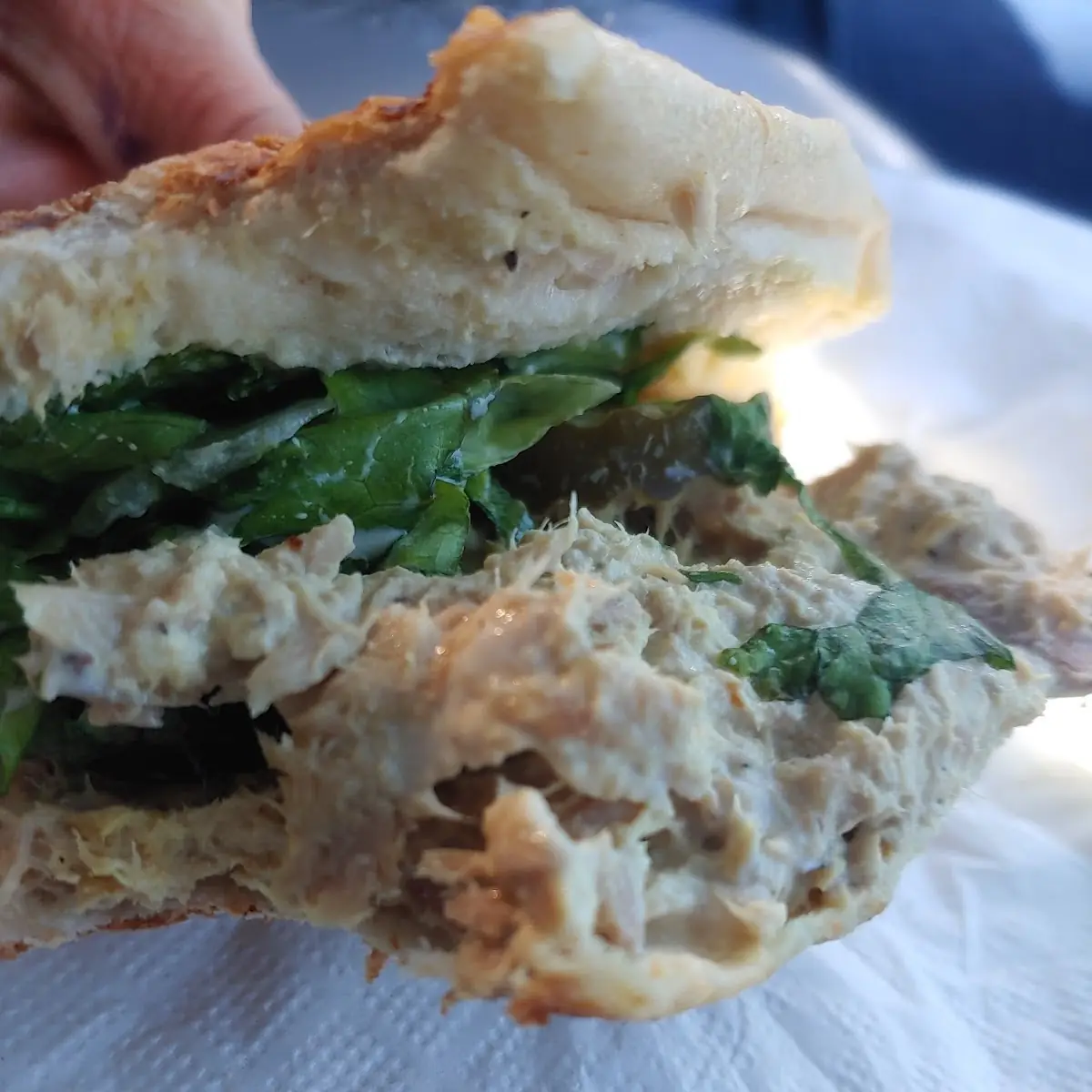 Tuna Salad Sandwich
