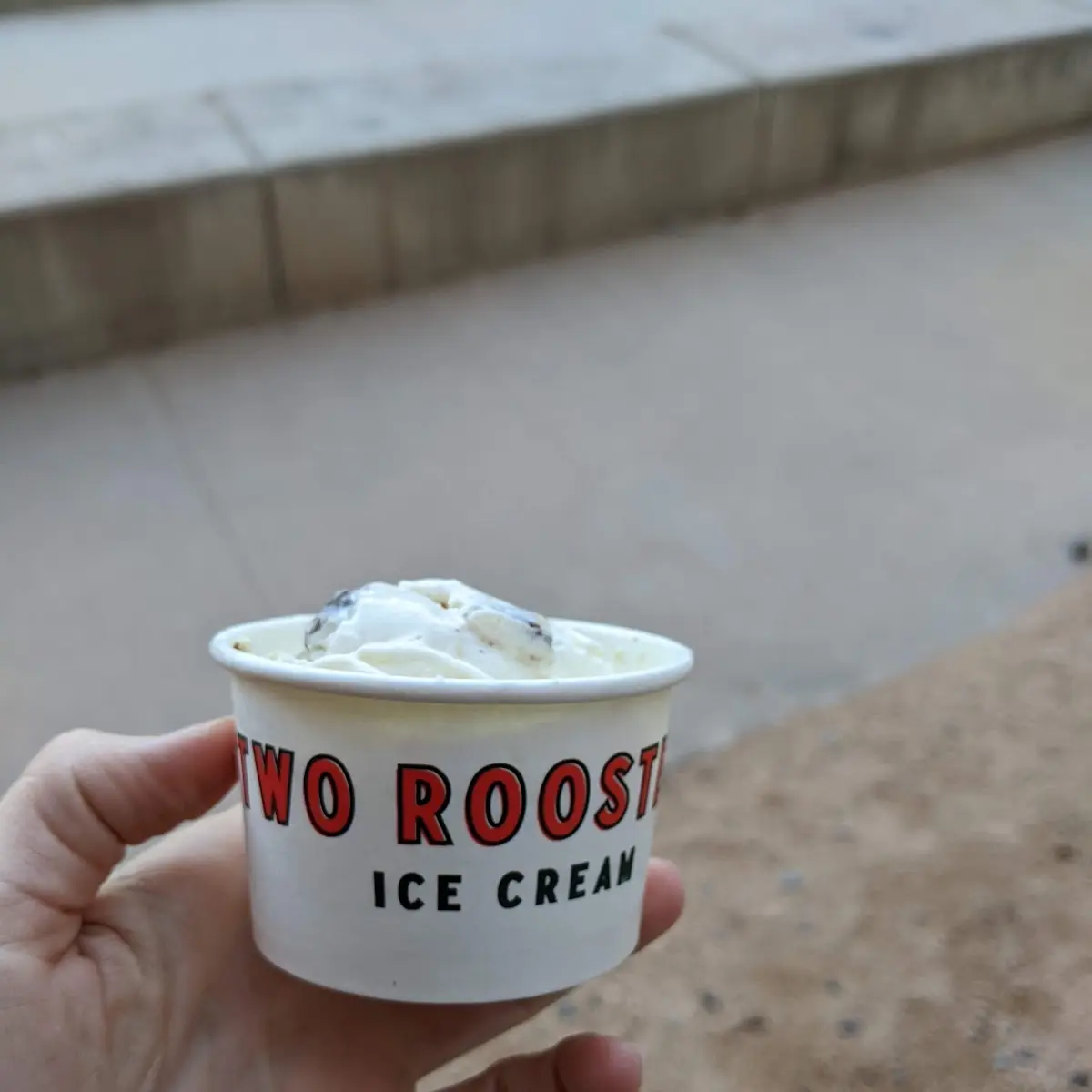 Sea Salt Chocolate Chip Cookie Dough