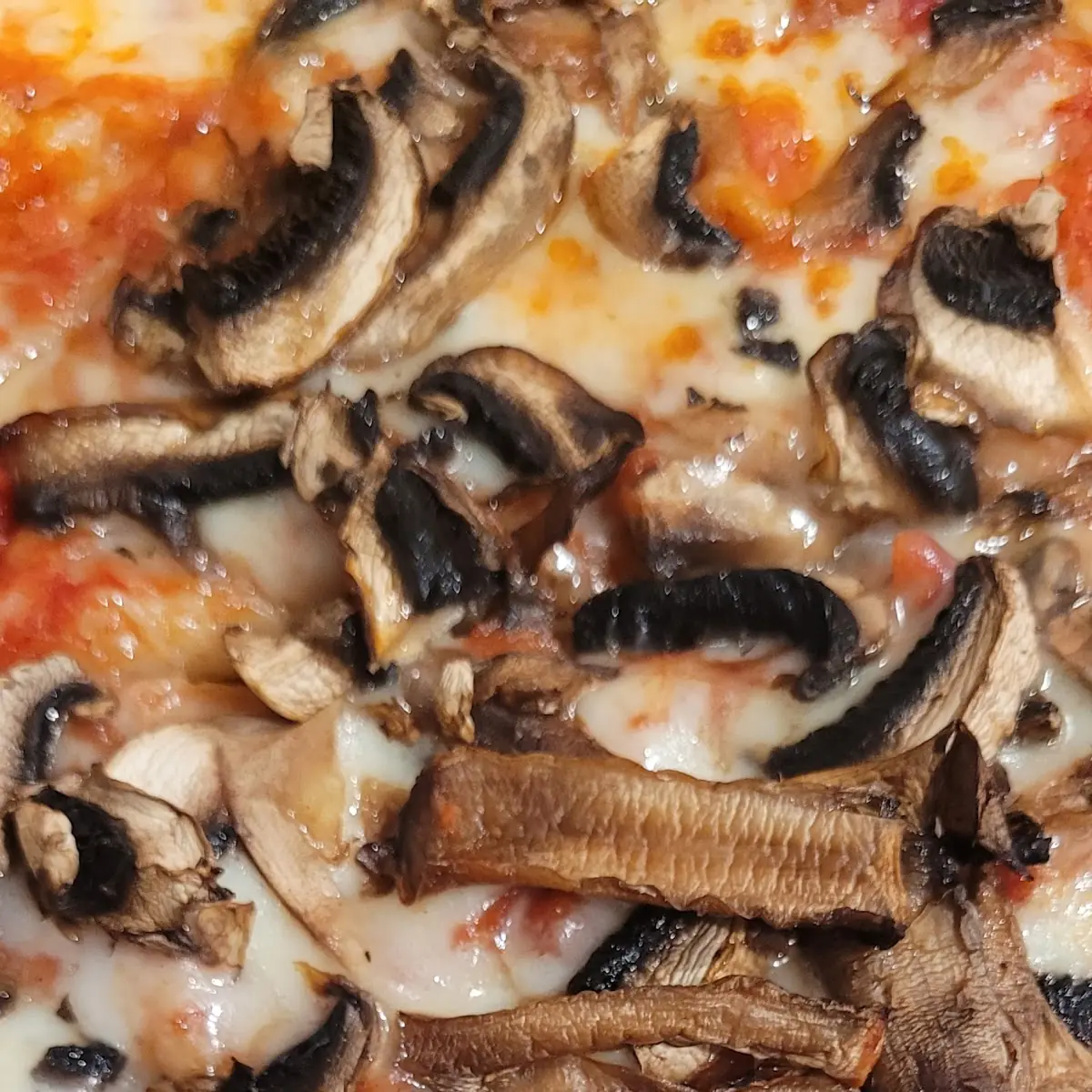 Slice of Mushroom Pizza
