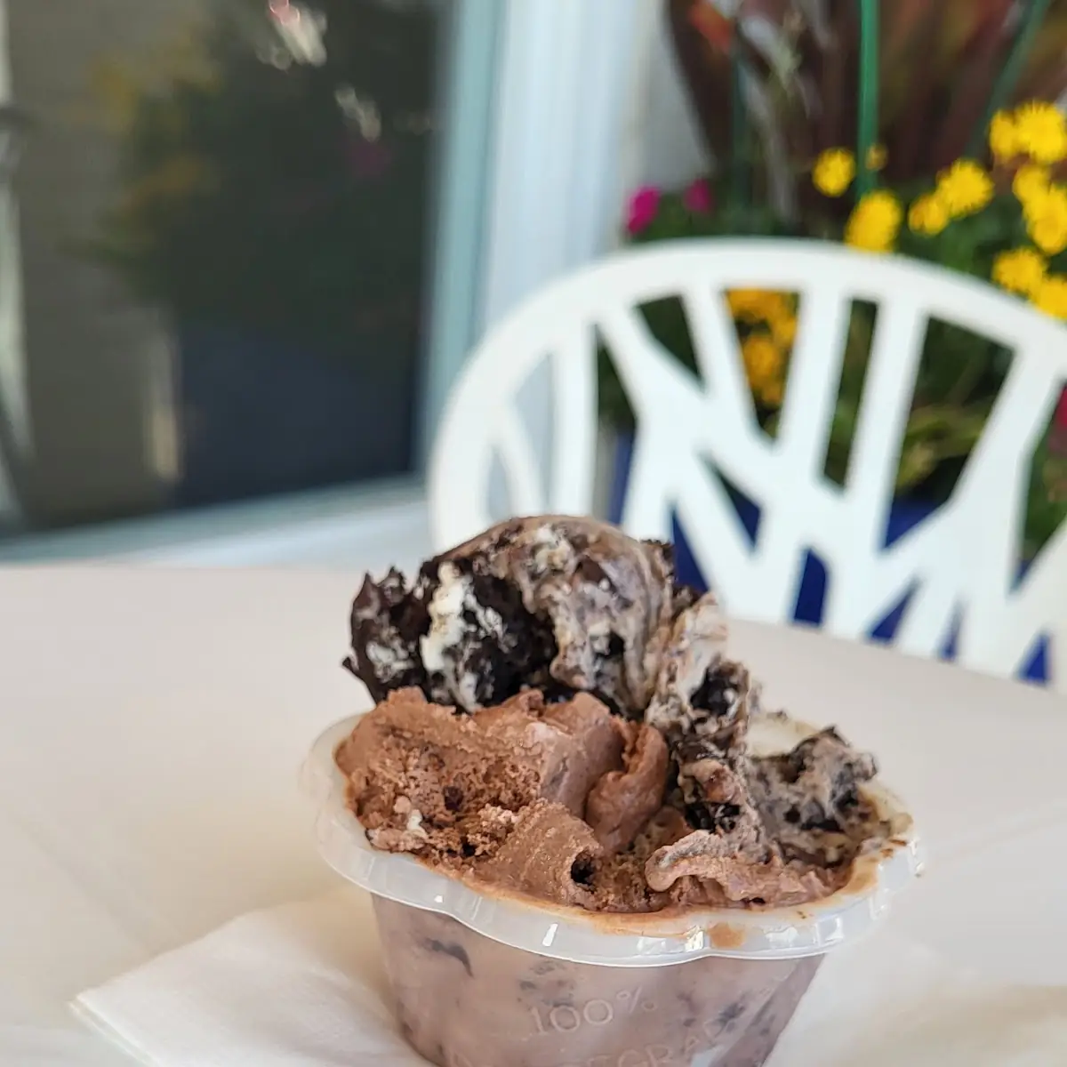 Oreo and Chocolate Ice Cream