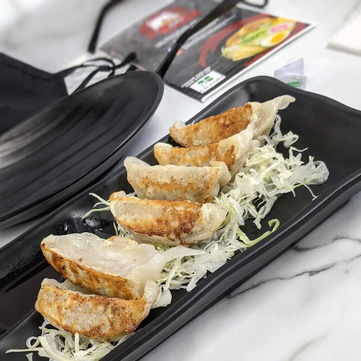Deep Fried Chicken Gyoza