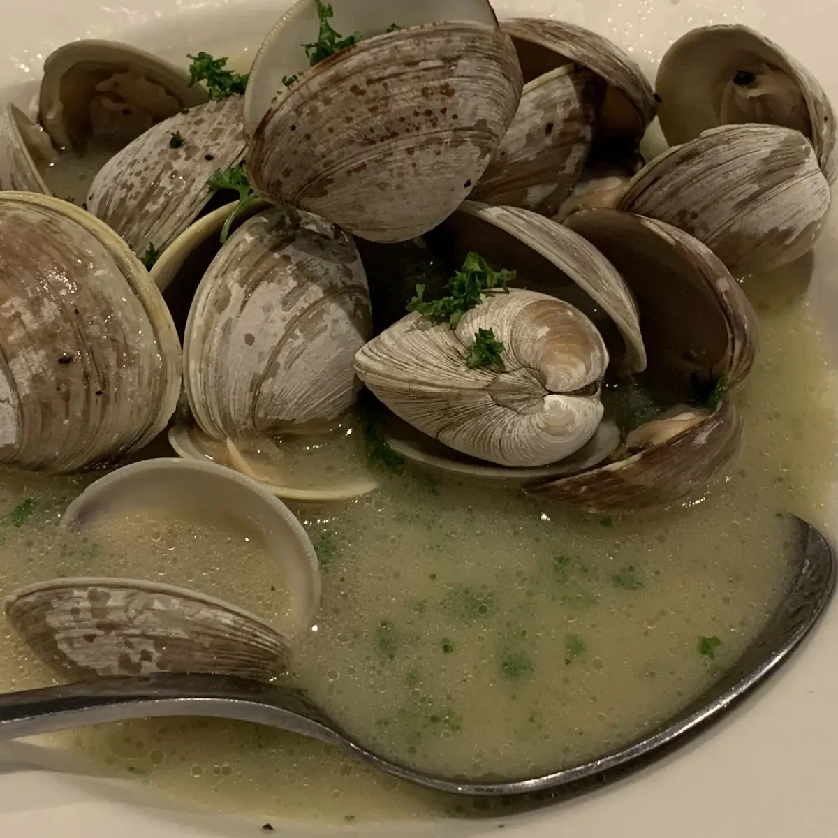 Steamed Clams Appetizer