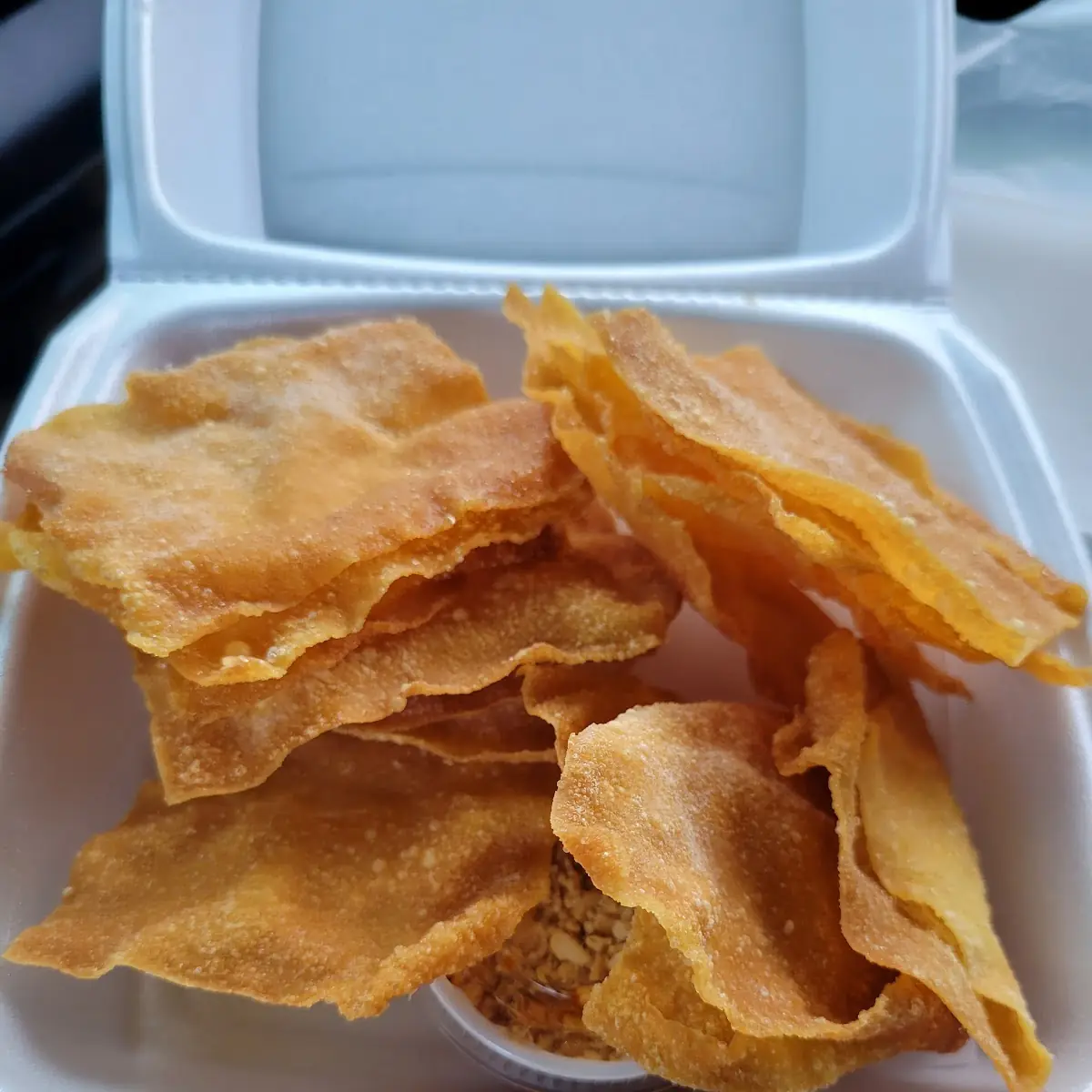 Fried Wonton