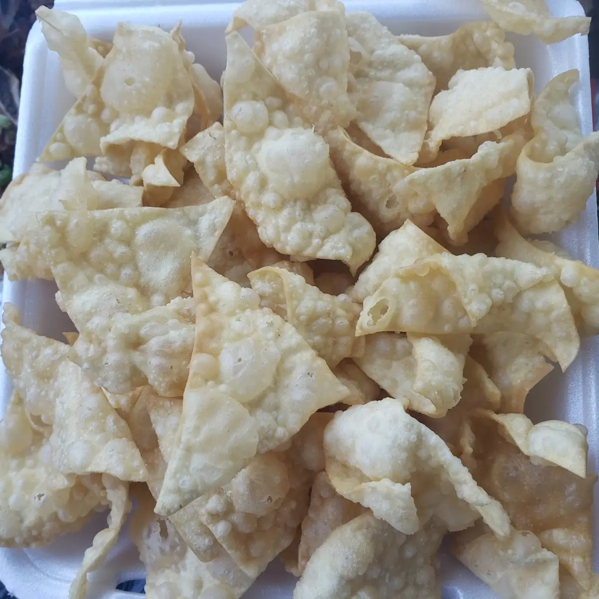 Fried Wonton