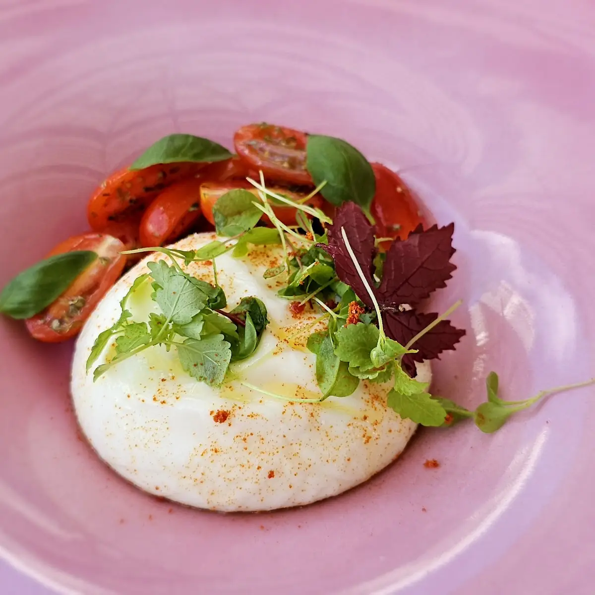 Burrata Caprese