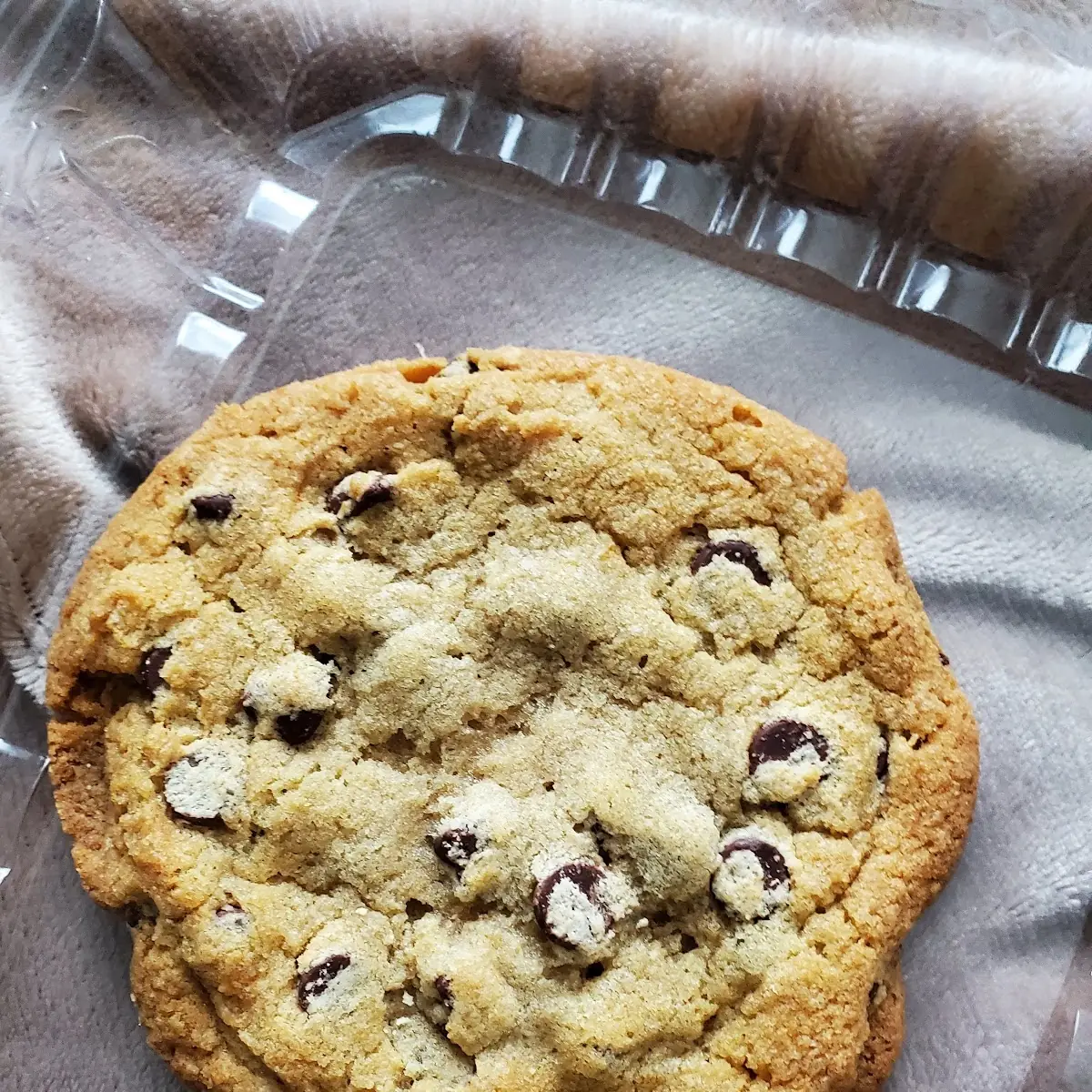 Giant Chocolate Chip Cookie