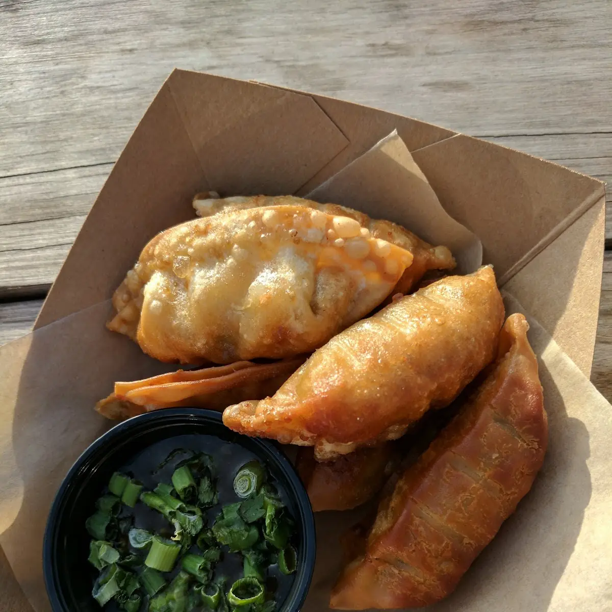 Fried Pork Dumplings