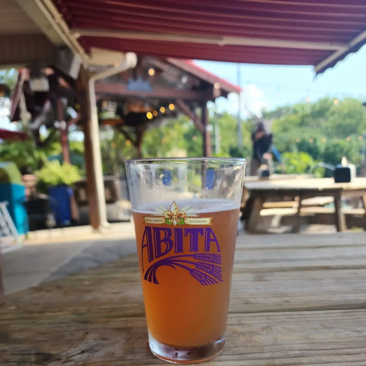 Abita Purple Haze