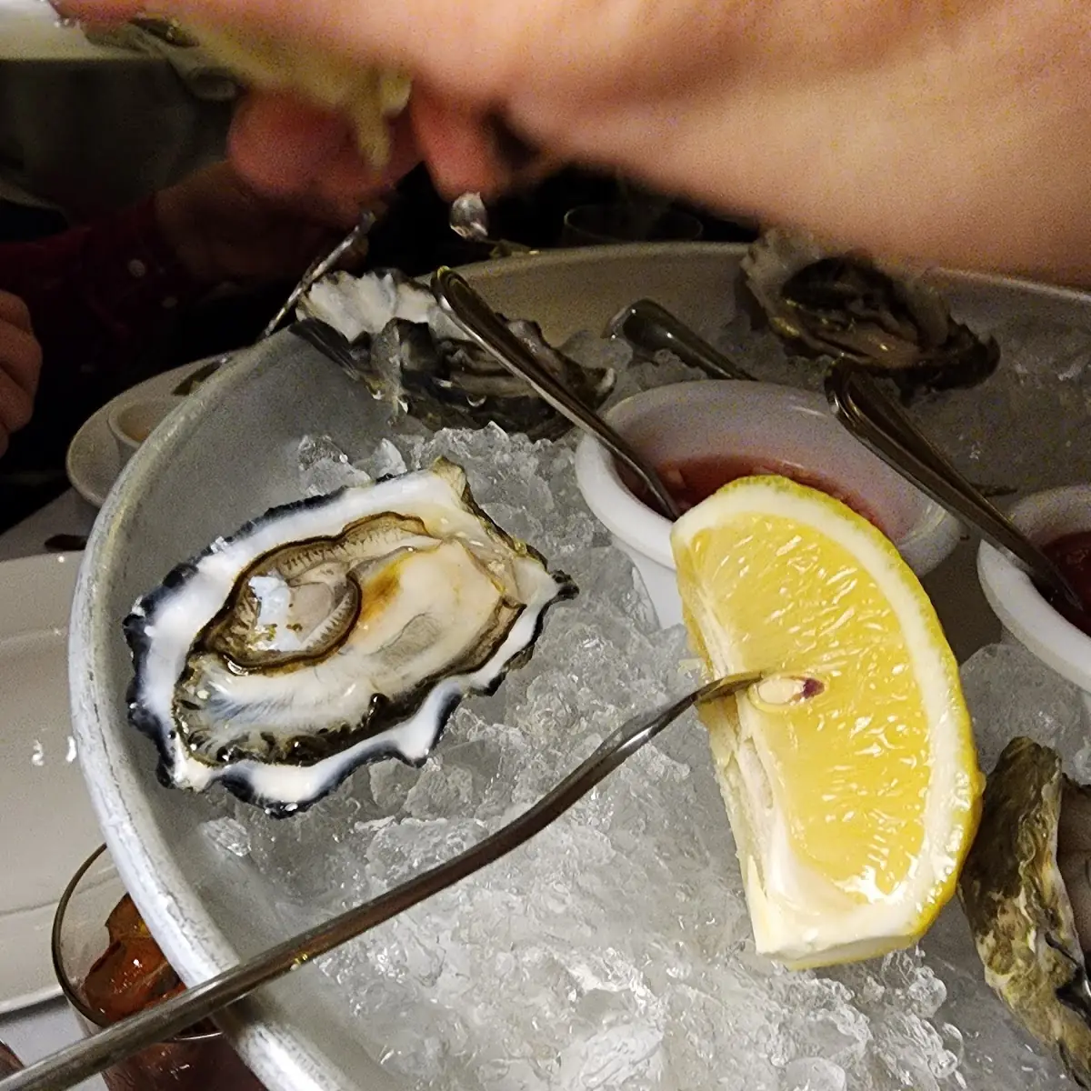 East Coast Oysters