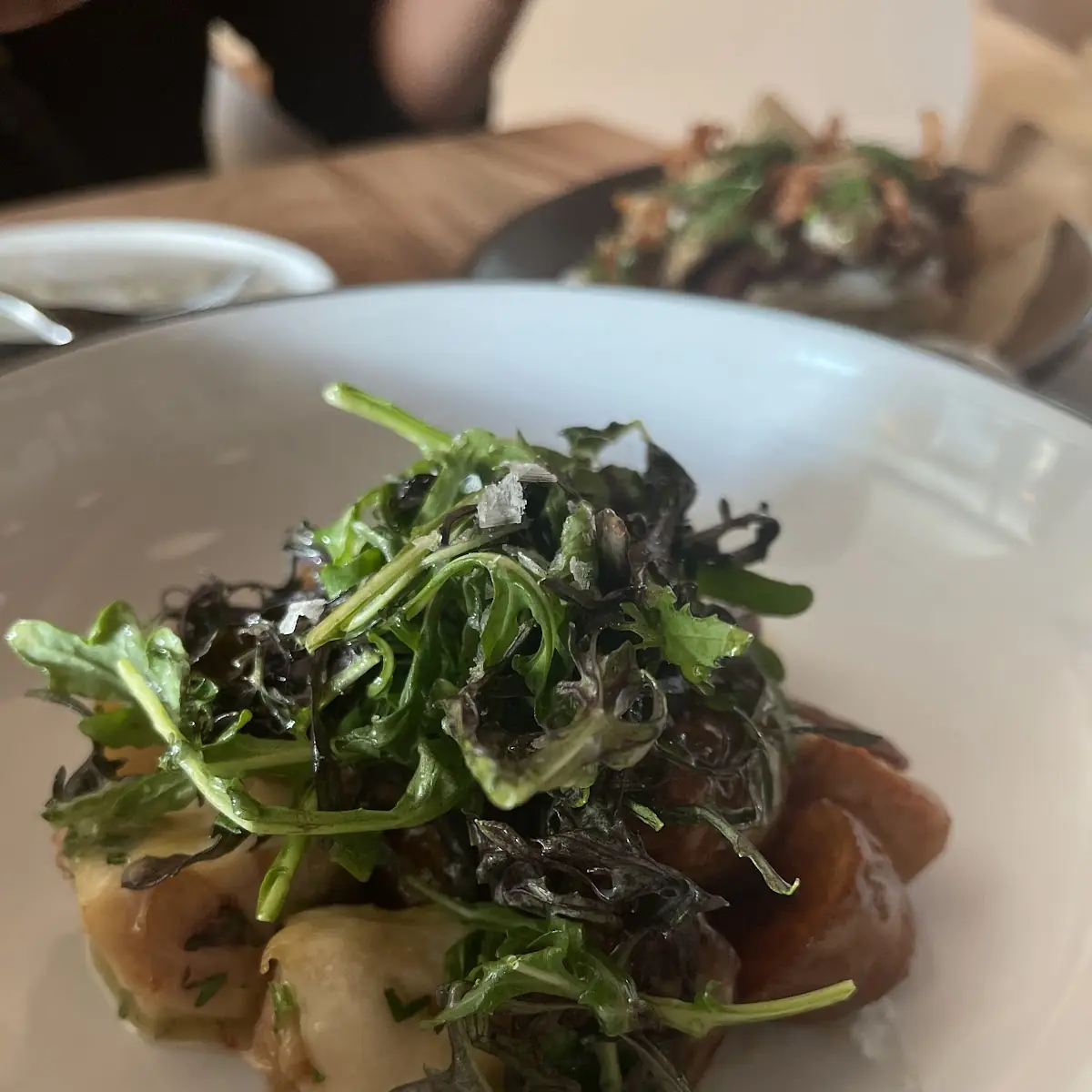 Warm Pork Belly and Octopus Salad