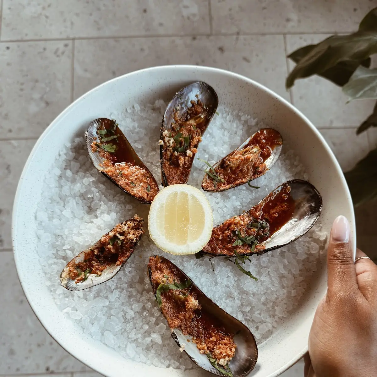 Wood Roasted Oysters