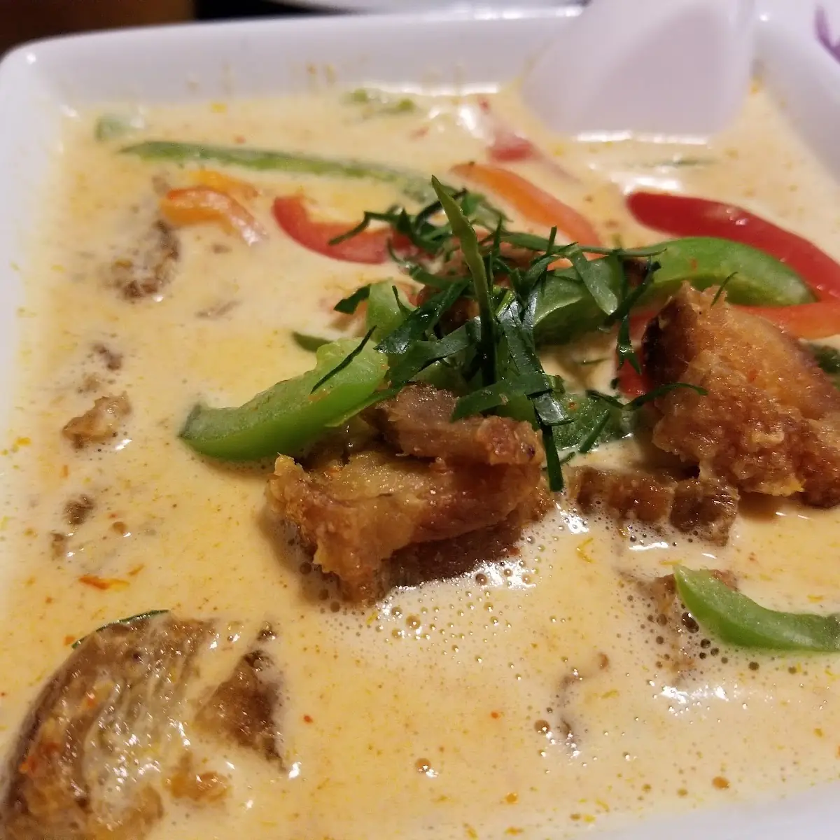 Panang Curry Item Only No Rice Included