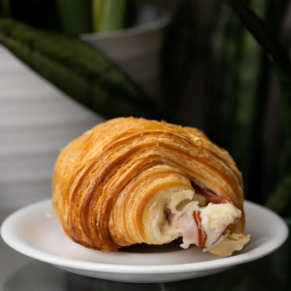 Ham and Cheese Croissant