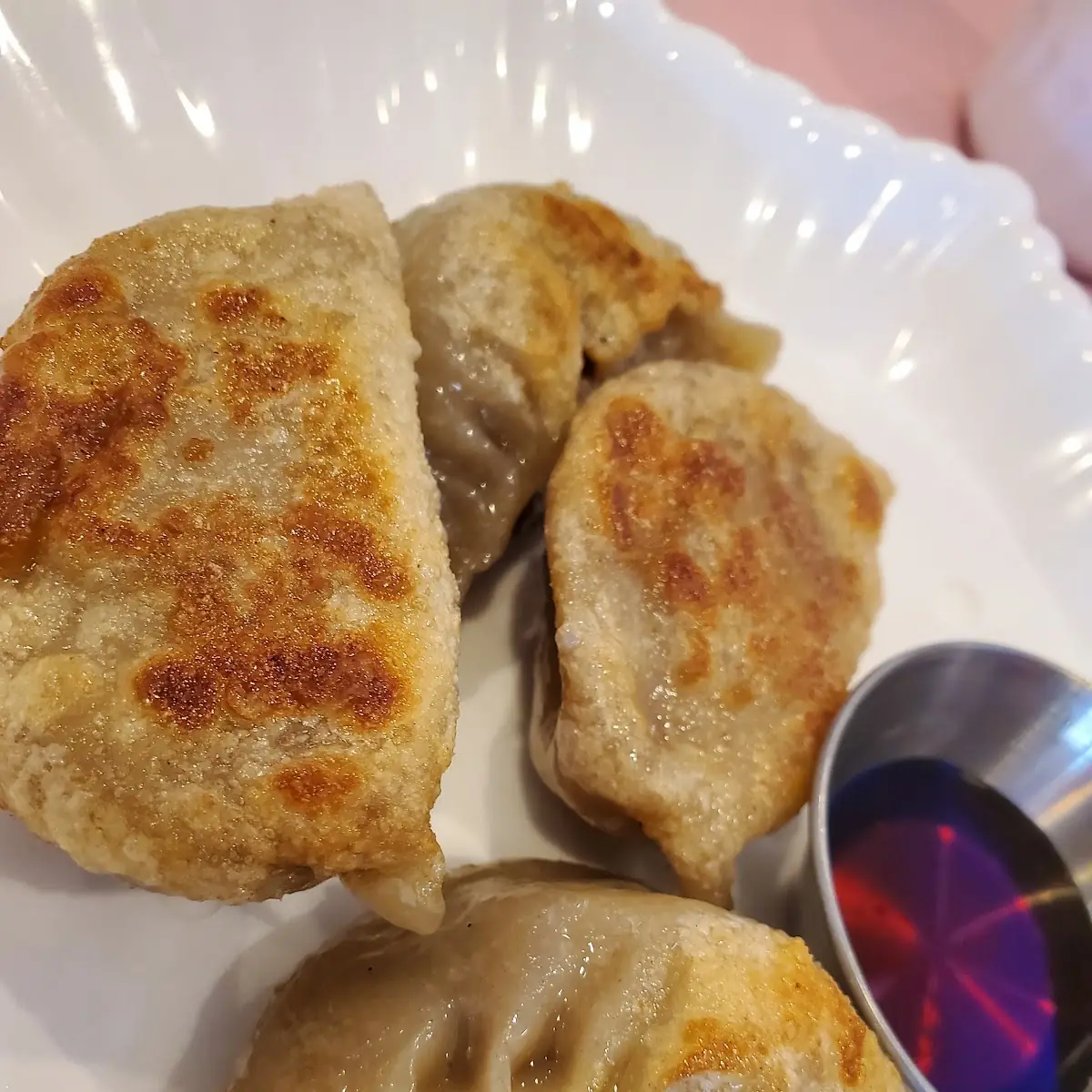 Pan Fried Dumplings 4