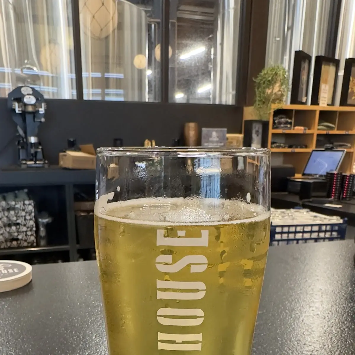 Electric Jellyfish Hazy IPA