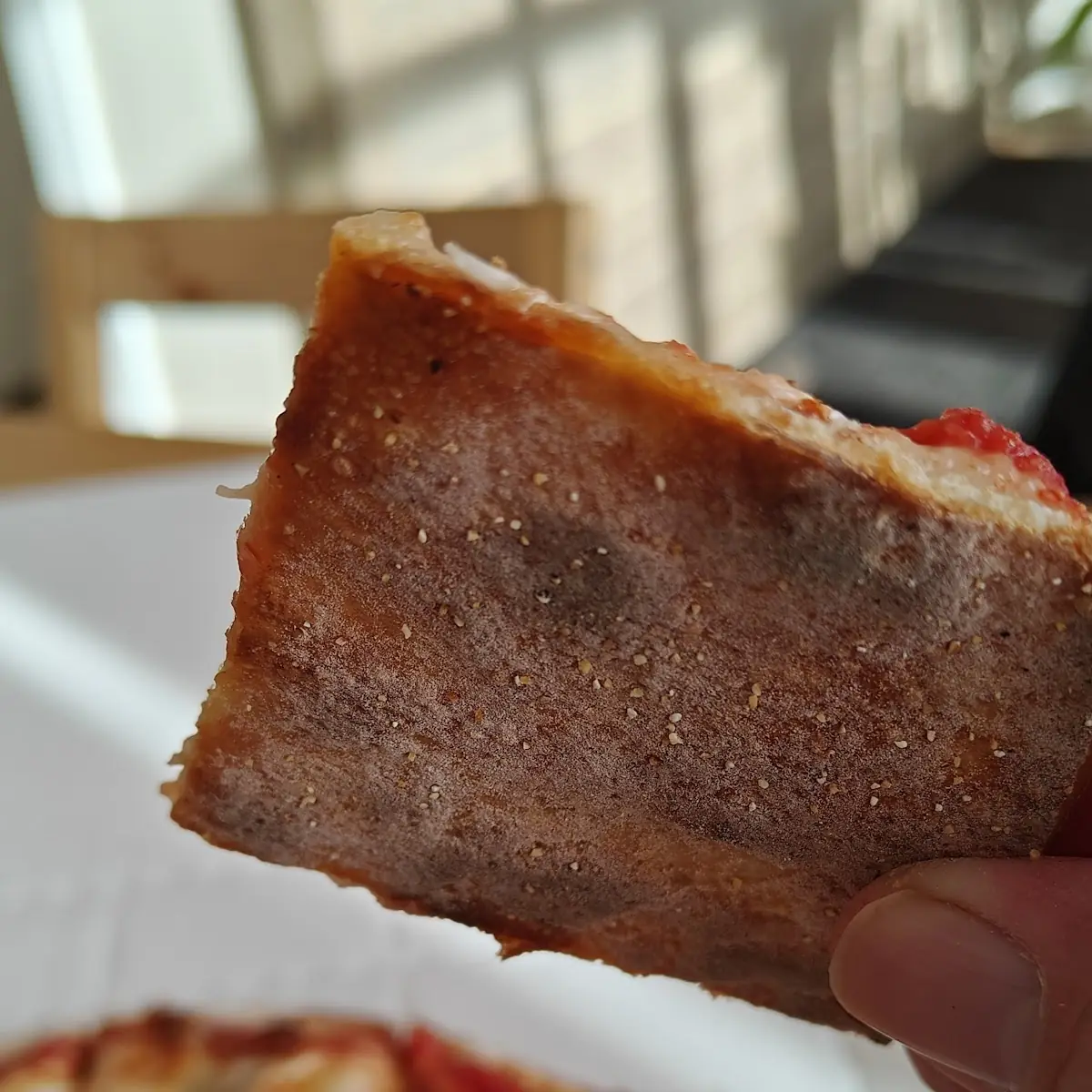 Pizza Crust