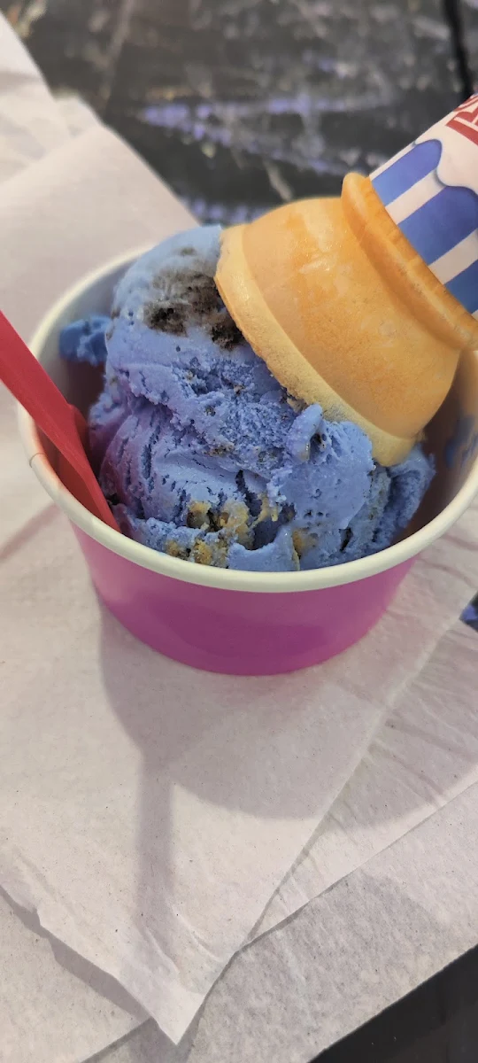 Small Cookie Monster Cone