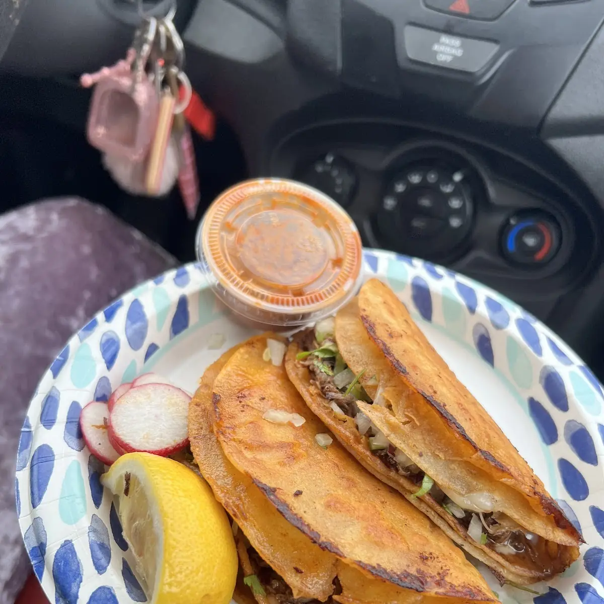 Quesabirria Tacos