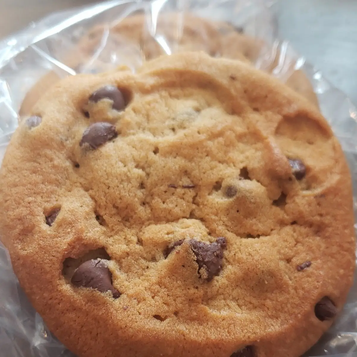 Chocolate Chip Cookie