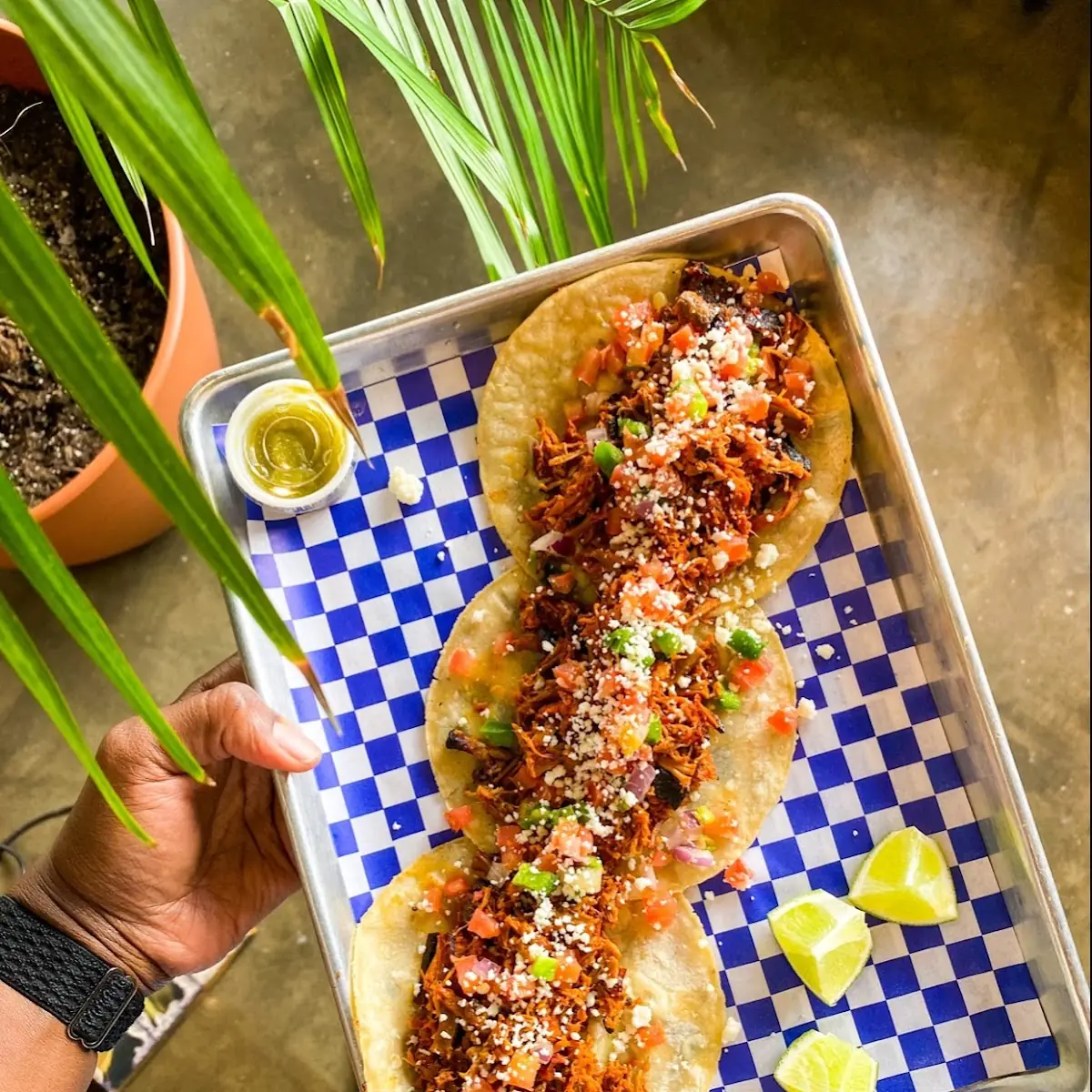 Brisket Tacos